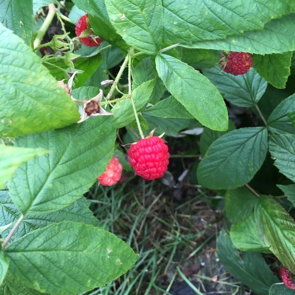 Need space for the holidays!  30% bundle discount. - Picture 1 of 1